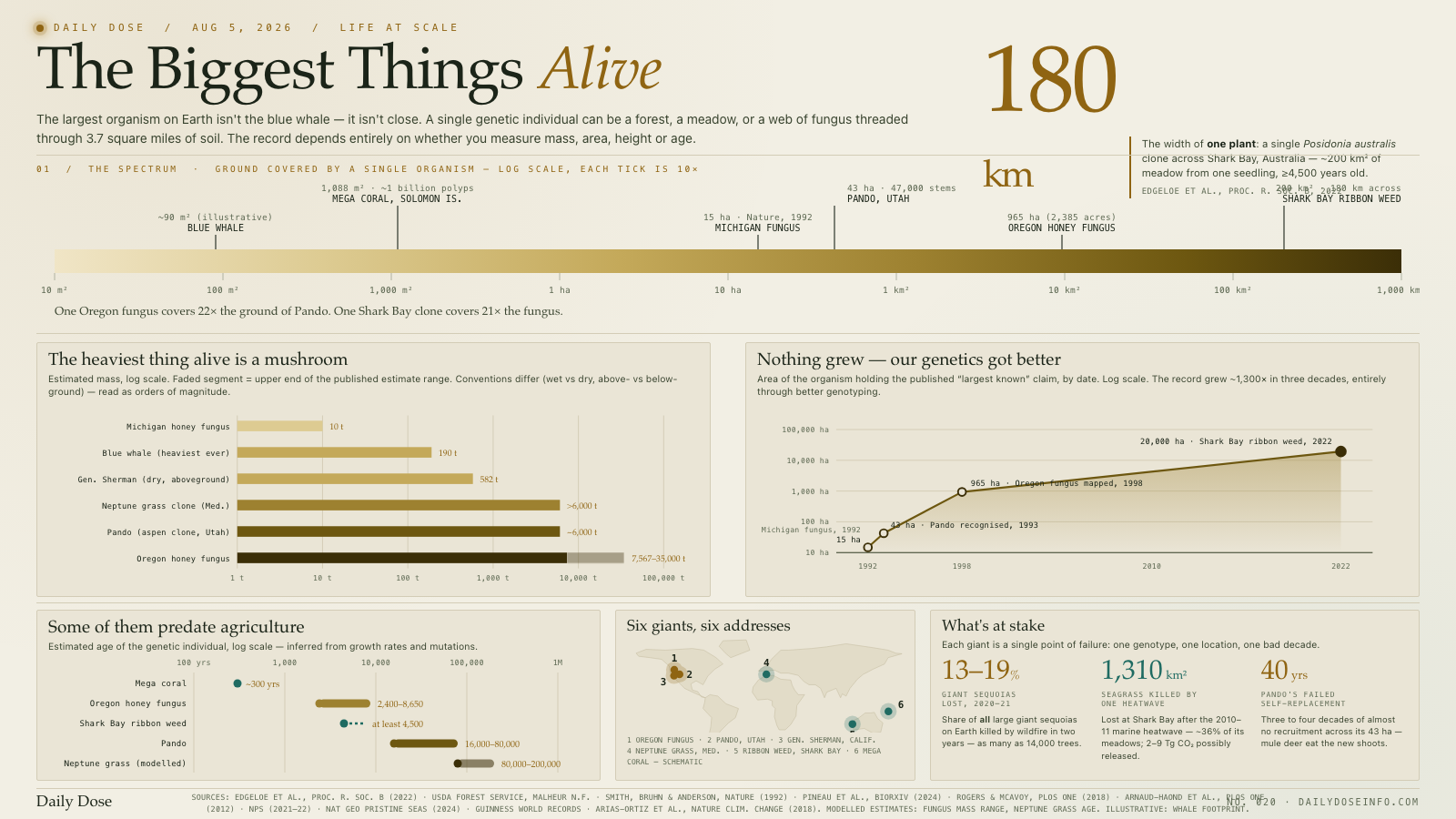 The Biggest Things Alive