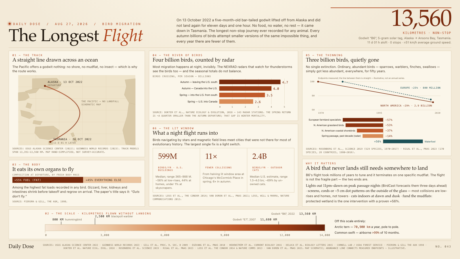The Longest Flight