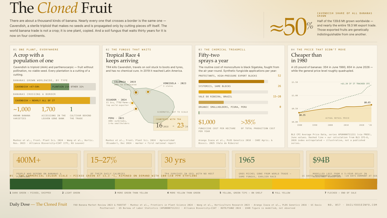 The Cloned Fruit