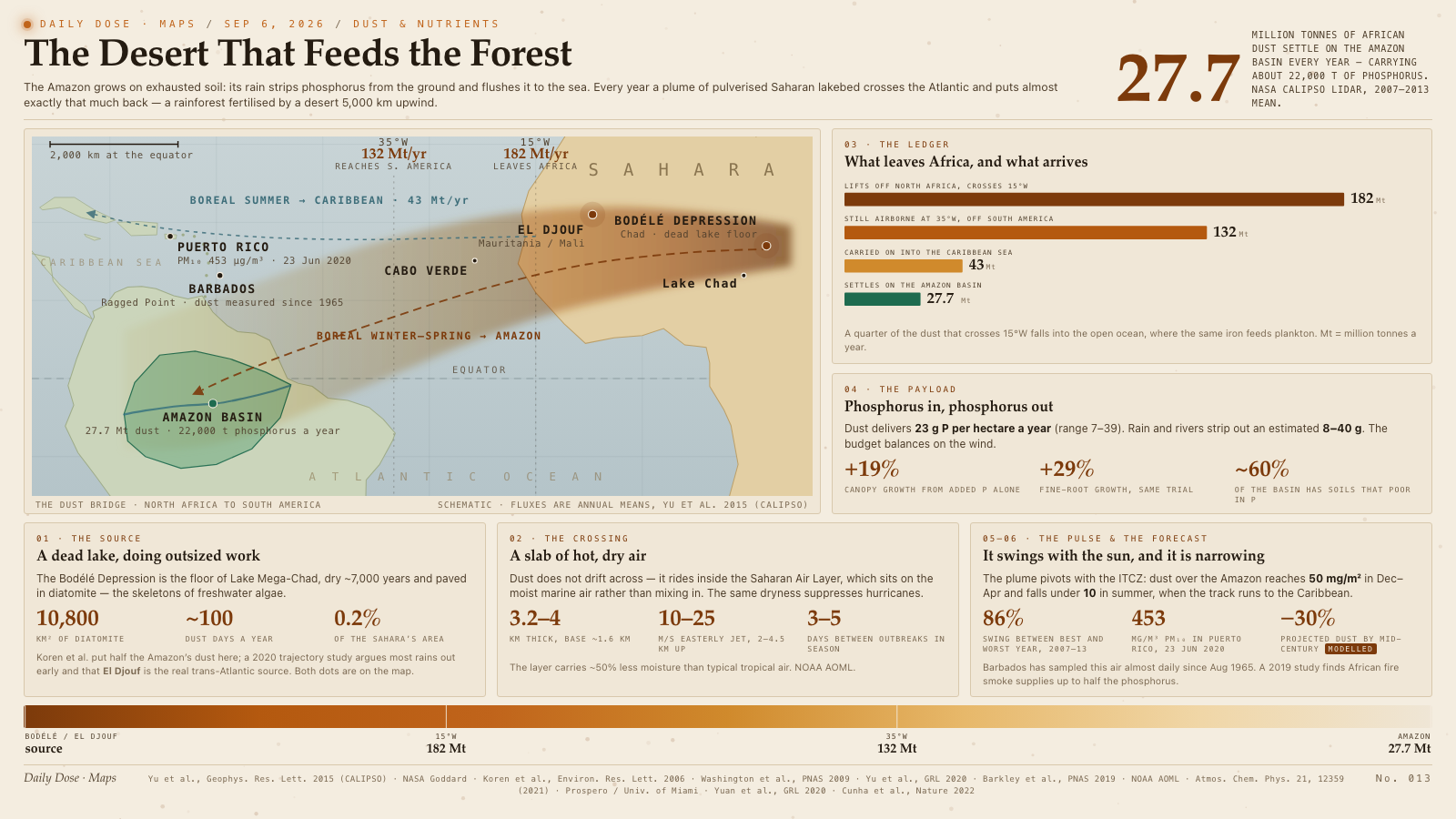 The Desert That Feeds the Forest